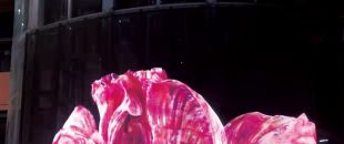 led屏為什么會流行起來？都有什么特點？