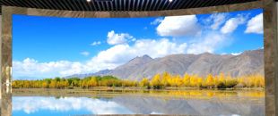 同是4K屏，為什么專業LED廣告機能比電視便宜30%？供應鏈成本大揭秘”